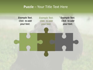 Hair People Uganda PowerPoint Template