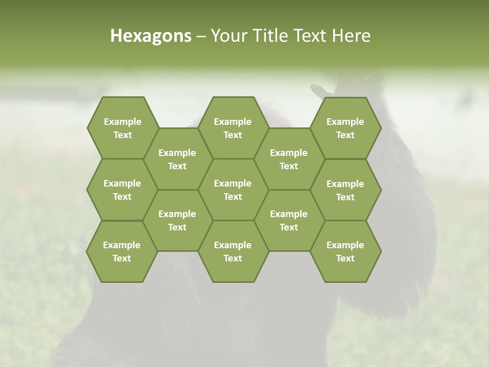Hair People Uganda PowerPoint Template