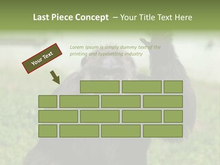 Hair People Uganda PowerPoint Template