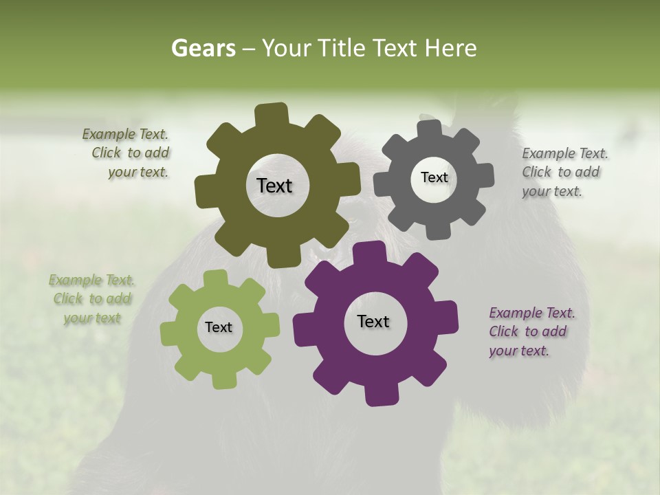 Hair People Uganda PowerPoint Template