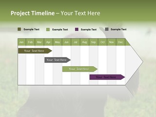 Hair People Uganda PowerPoint Template
