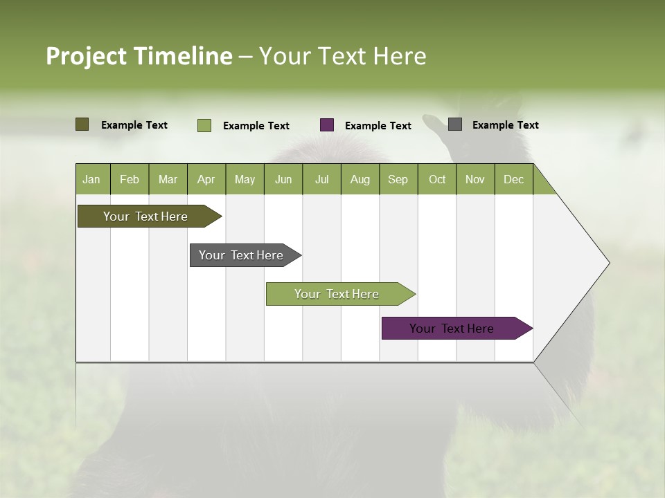Hair People Uganda PowerPoint Template