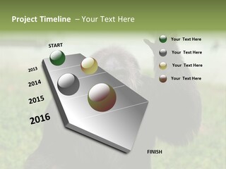 Hair People Uganda PowerPoint Template