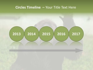 Hair People Uganda PowerPoint Template