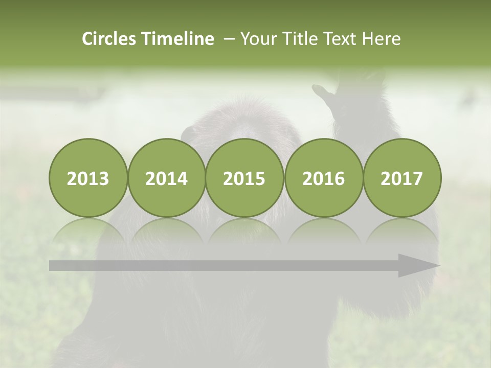 Hair People Uganda PowerPoint Template