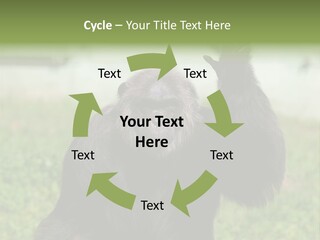 Hair People Uganda PowerPoint Template