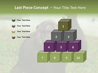 Hair People Uganda PowerPoint Template