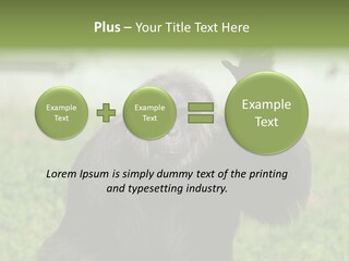 Hair People Uganda PowerPoint Template