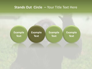 Hair People Uganda PowerPoint Template