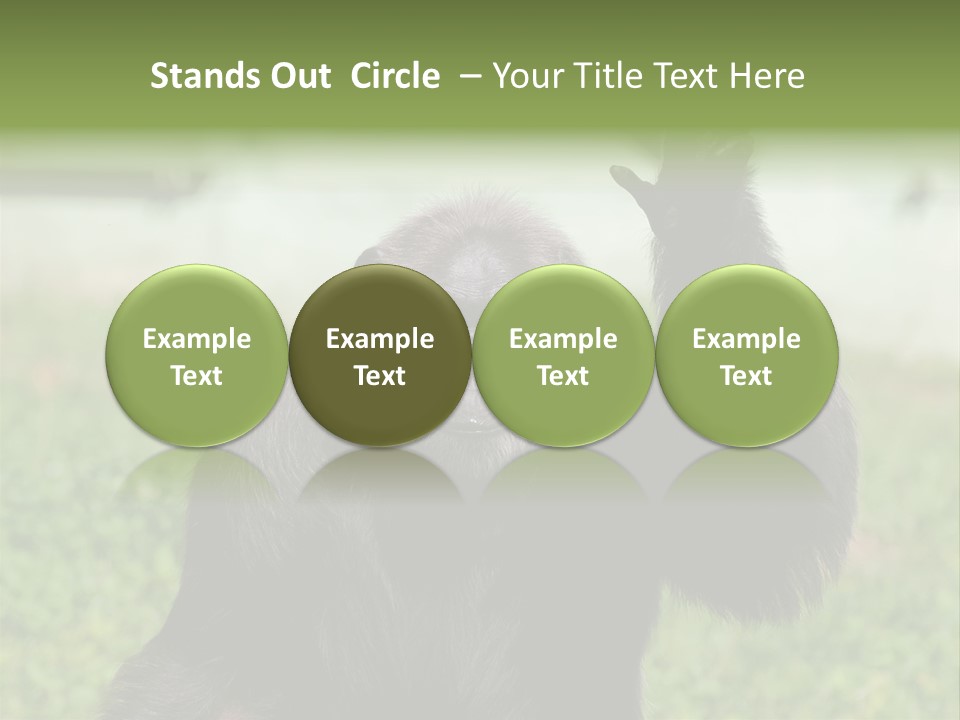 Hair People Uganda PowerPoint Template