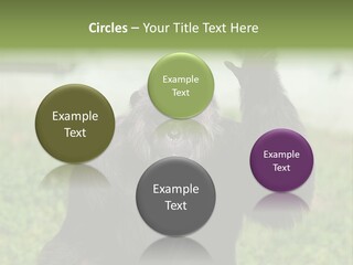 Hair People Uganda PowerPoint Template