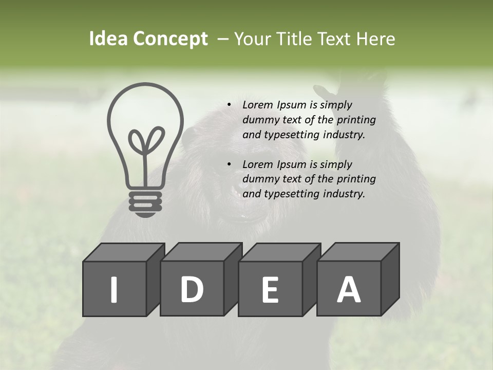 Hair People Uganda PowerPoint Template
