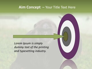 Hair People Uganda PowerPoint Template