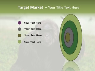 Hair People Uganda PowerPoint Template