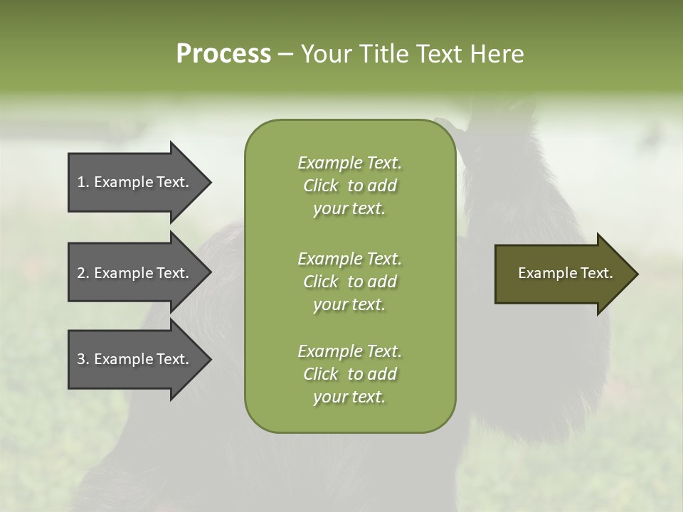 Hair People Uganda PowerPoint Template