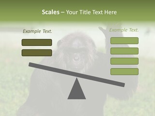 Hair People Uganda PowerPoint Template