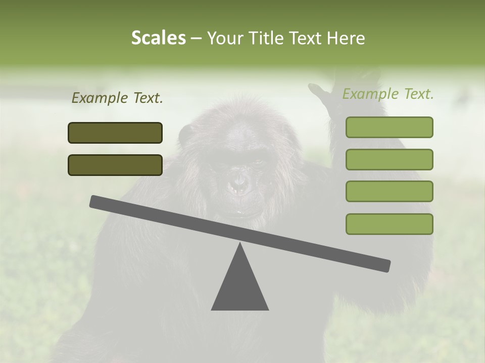 Hair People Uganda PowerPoint Template