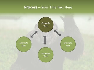 Hair People Uganda PowerPoint Template