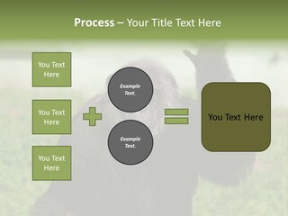 Hair People Uganda PowerPoint Template