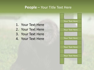 Hair People Uganda PowerPoint Template
