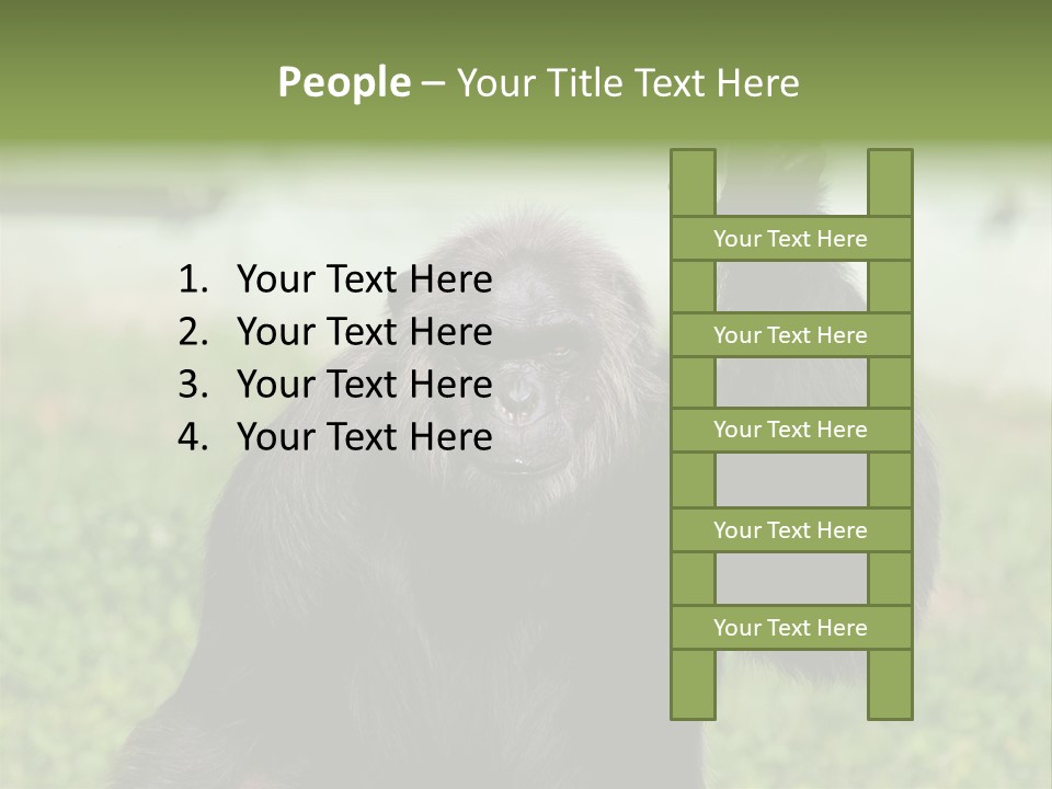 Hair People Uganda PowerPoint Template