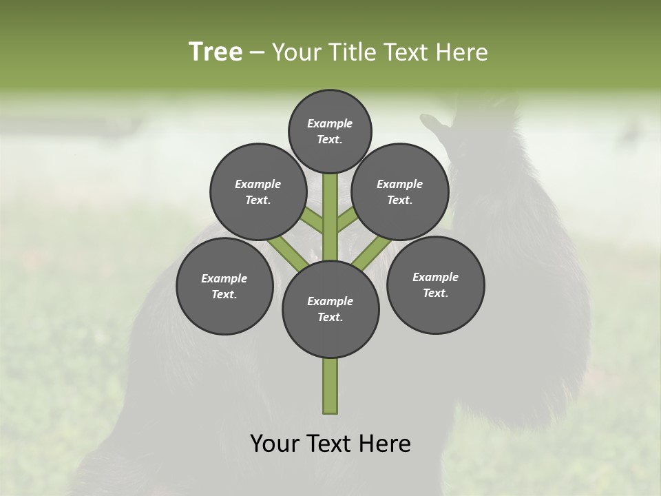 Hair People Uganda PowerPoint Template