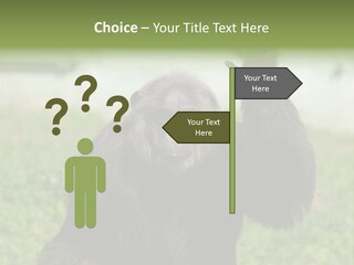 Hair People Uganda PowerPoint Template