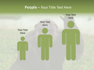 Hair People Uganda PowerPoint Template
