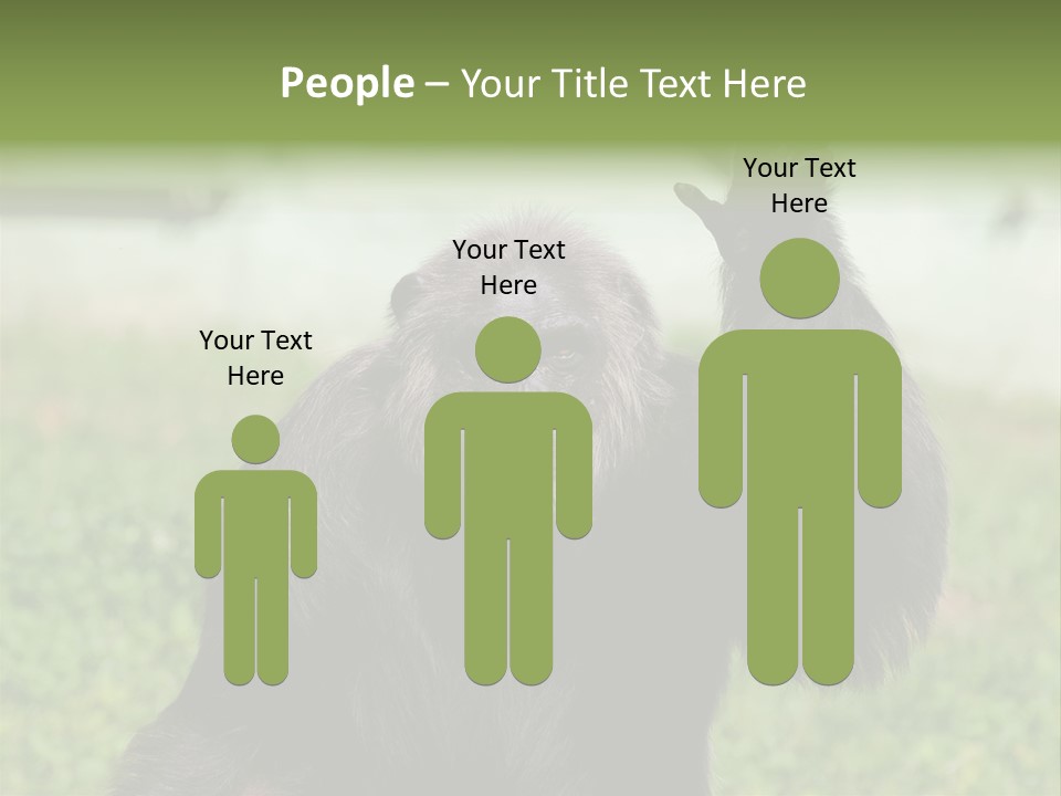 Hair People Uganda PowerPoint Template