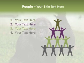 Hair People Uganda PowerPoint Template