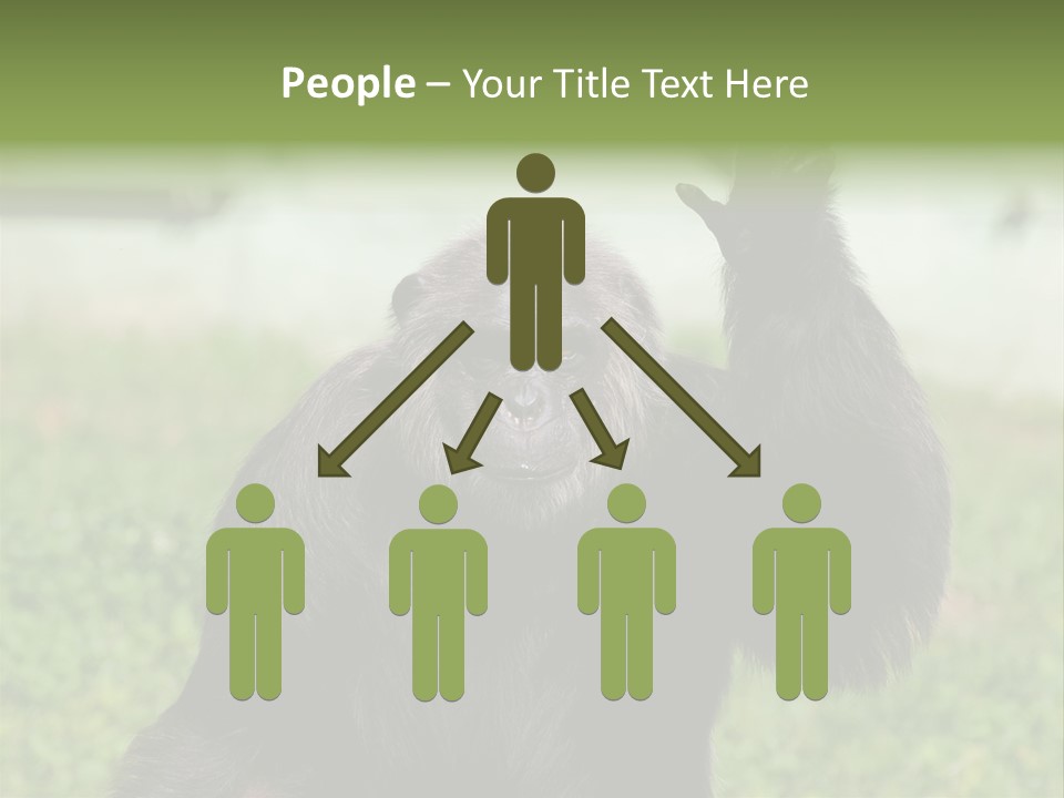 Hair People Uganda PowerPoint Template