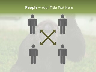 Hair People Uganda PowerPoint Template