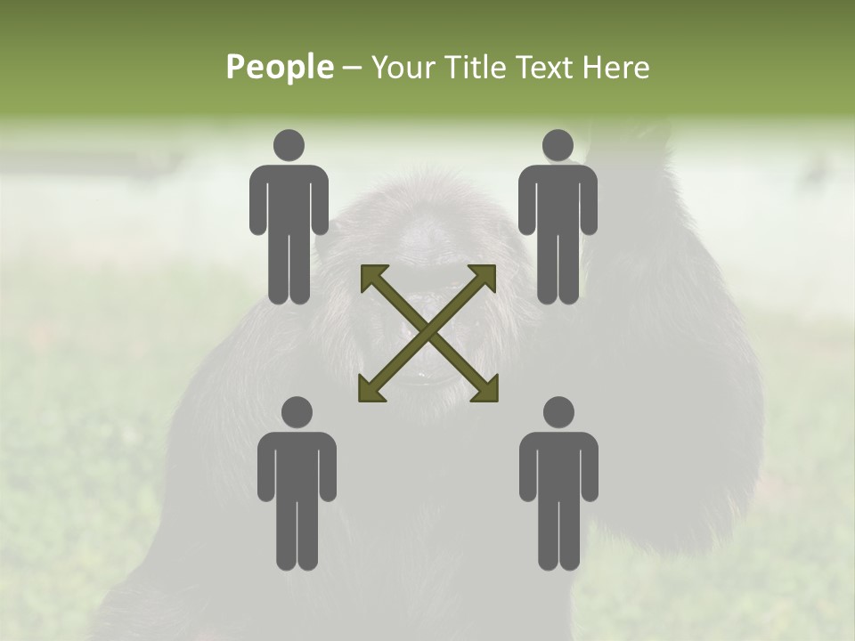 Hair People Uganda PowerPoint Template