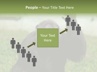 Hair People Uganda PowerPoint Template