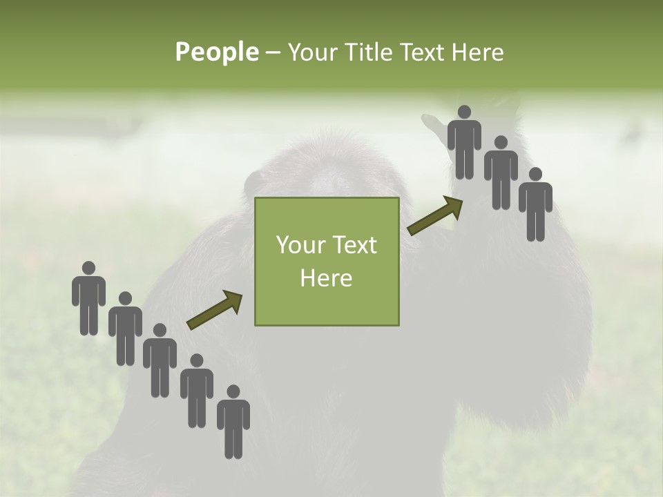 Hair People Uganda PowerPoint Template