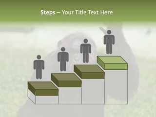 Hair People Uganda PowerPoint Template