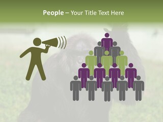 Hair People Uganda PowerPoint Template
