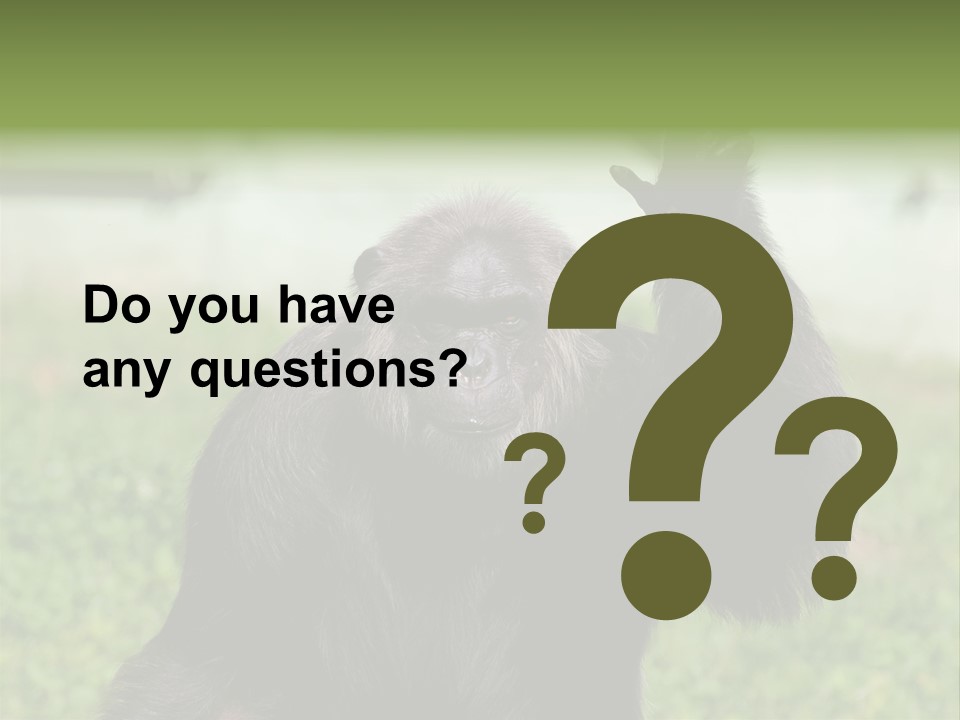 Hair People Uganda PowerPoint Template