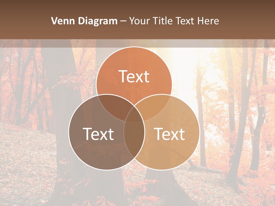 Sunny Foliage Golden PowerPoint Template