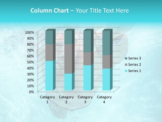 Crawl Fast Young PowerPoint Template