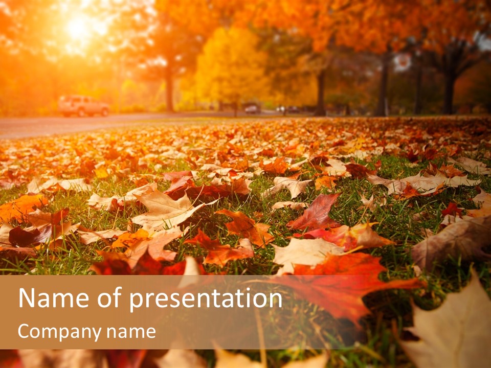 Season Copyspace Outside PowerPoint Template