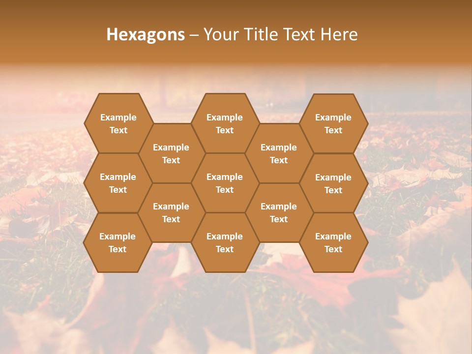 Season Copyspace Outside PowerPoint Template