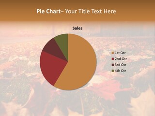 Season Copyspace Outside PowerPoint Template