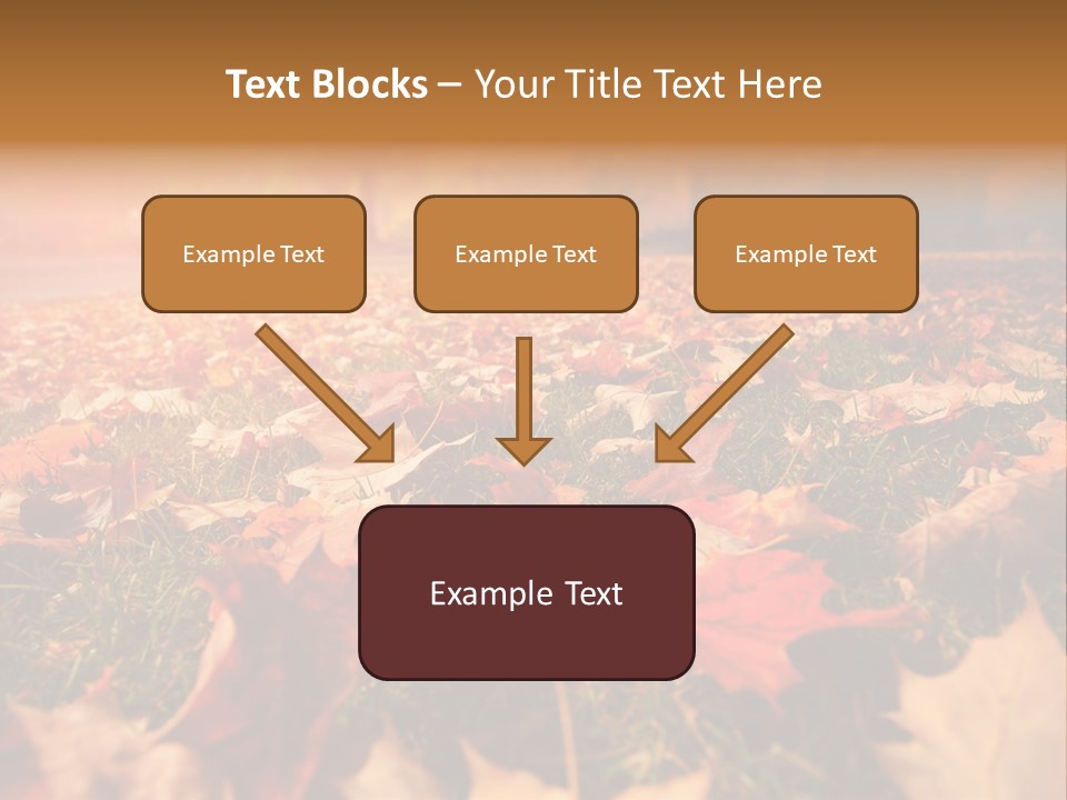 Season Copyspace Outside PowerPoint Template