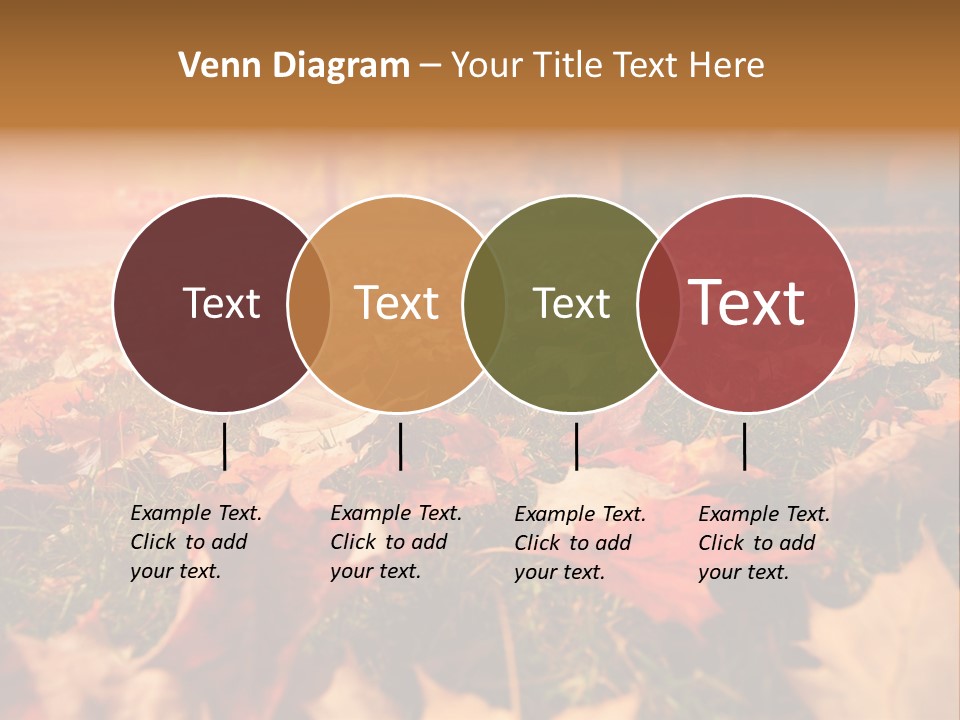 Season Copyspace Outside PowerPoint Template