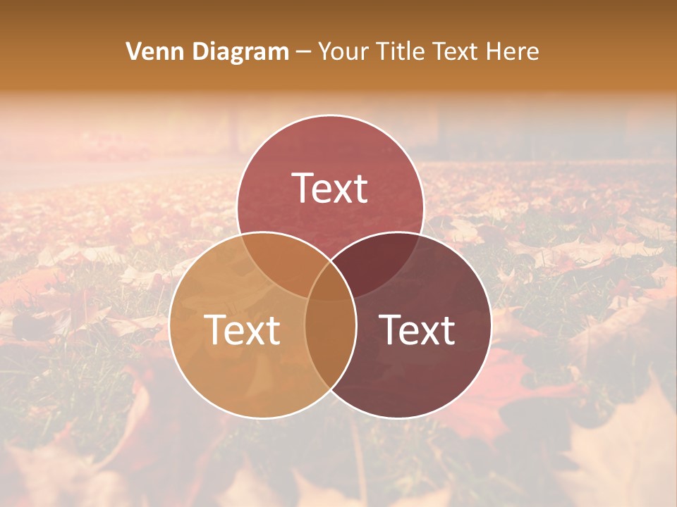 Season Copyspace Outside PowerPoint Template