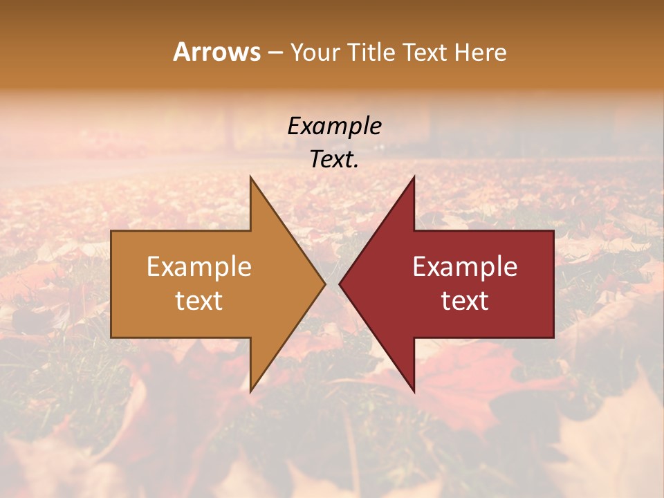 Season Copyspace Outside PowerPoint Template