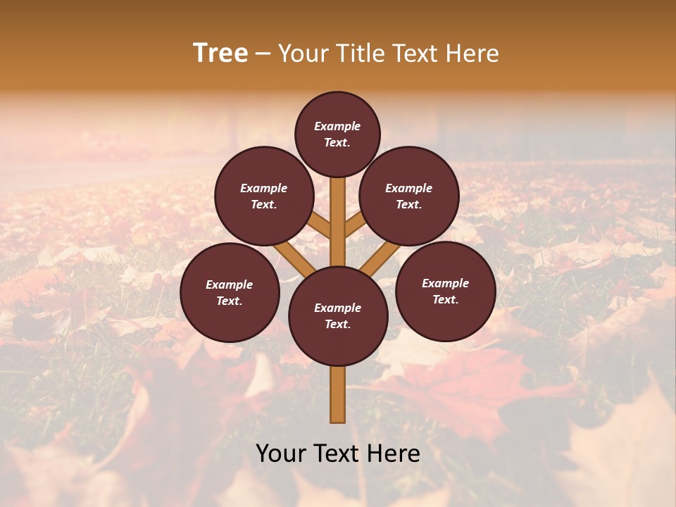 Season Copyspace Outside PowerPoint Template