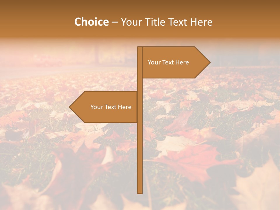 Season Copyspace Outside PowerPoint Template