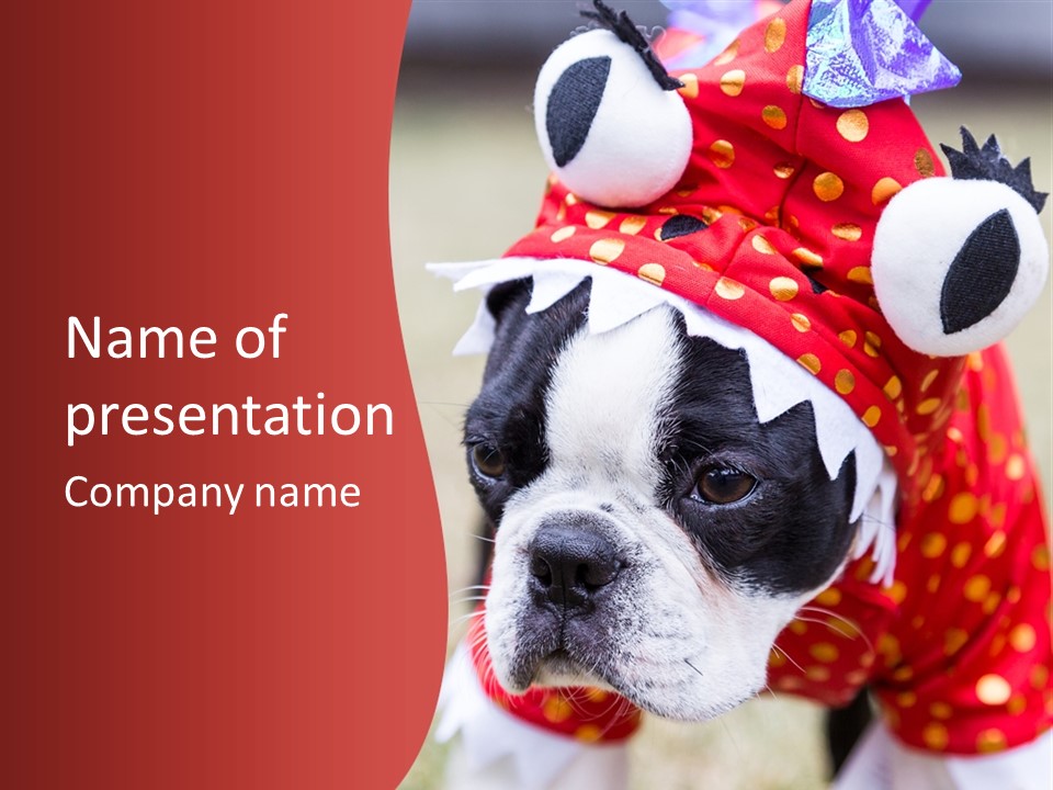 Silly Puppy Cute Funny Costume PowerPoint Template